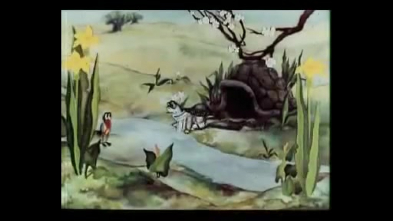 Кадр из фильма "Про черепаху" взят для иллюстрации из Яндекс Картинки.  