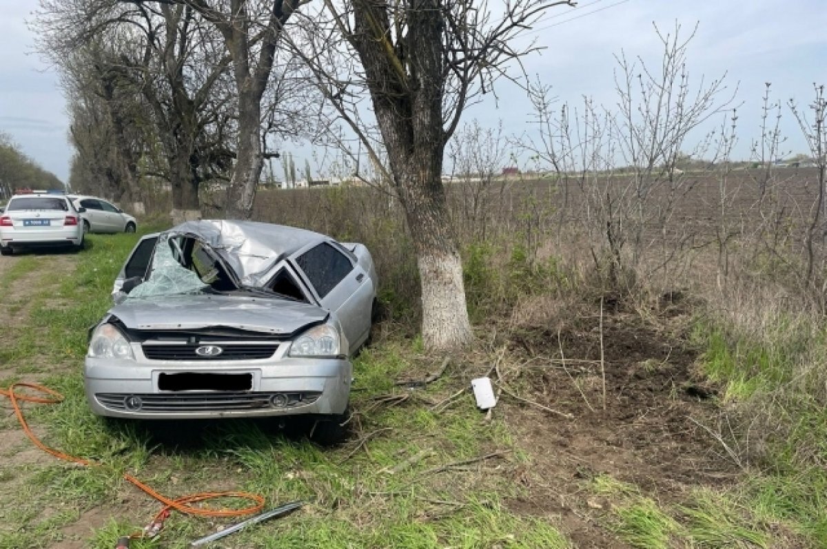    На Кубани женщину на легковушке занесло, она врезалась в дерево и погибла