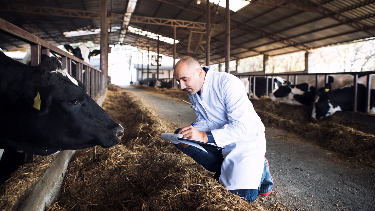   За март ветслужба Югры обнаружила лейкоз у 24 животных