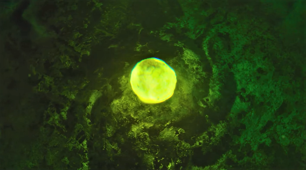 На дне озера яйцо.