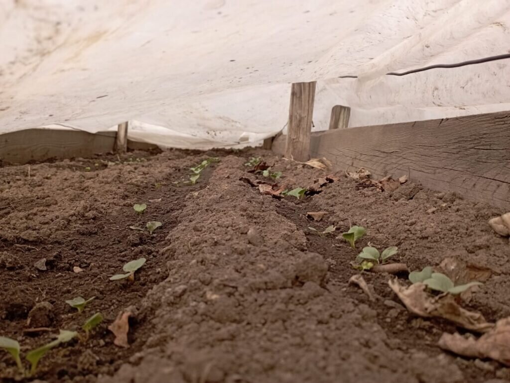    Фото: Амур.инфо