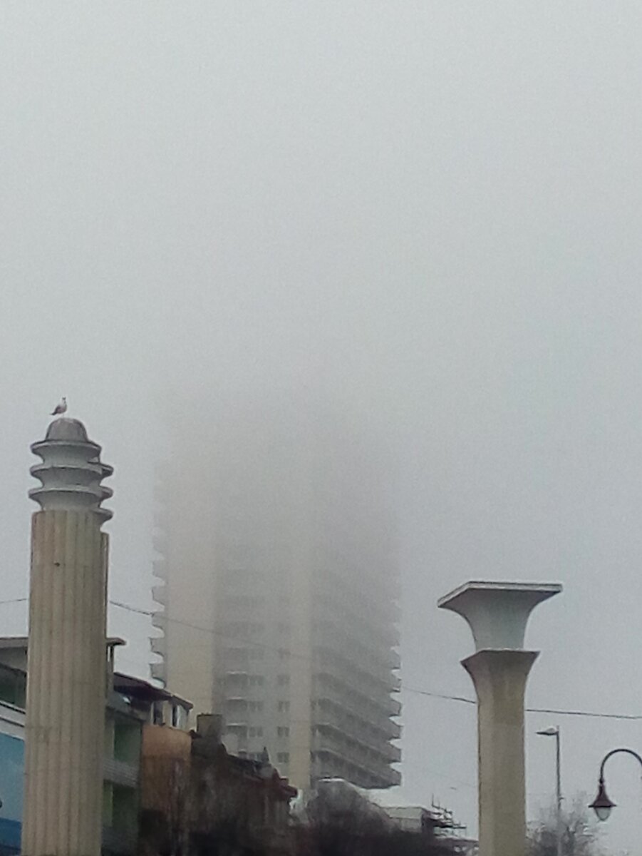 Слоистые туманообразные облака (STRATUS NEBULOSUS). Фото автора.