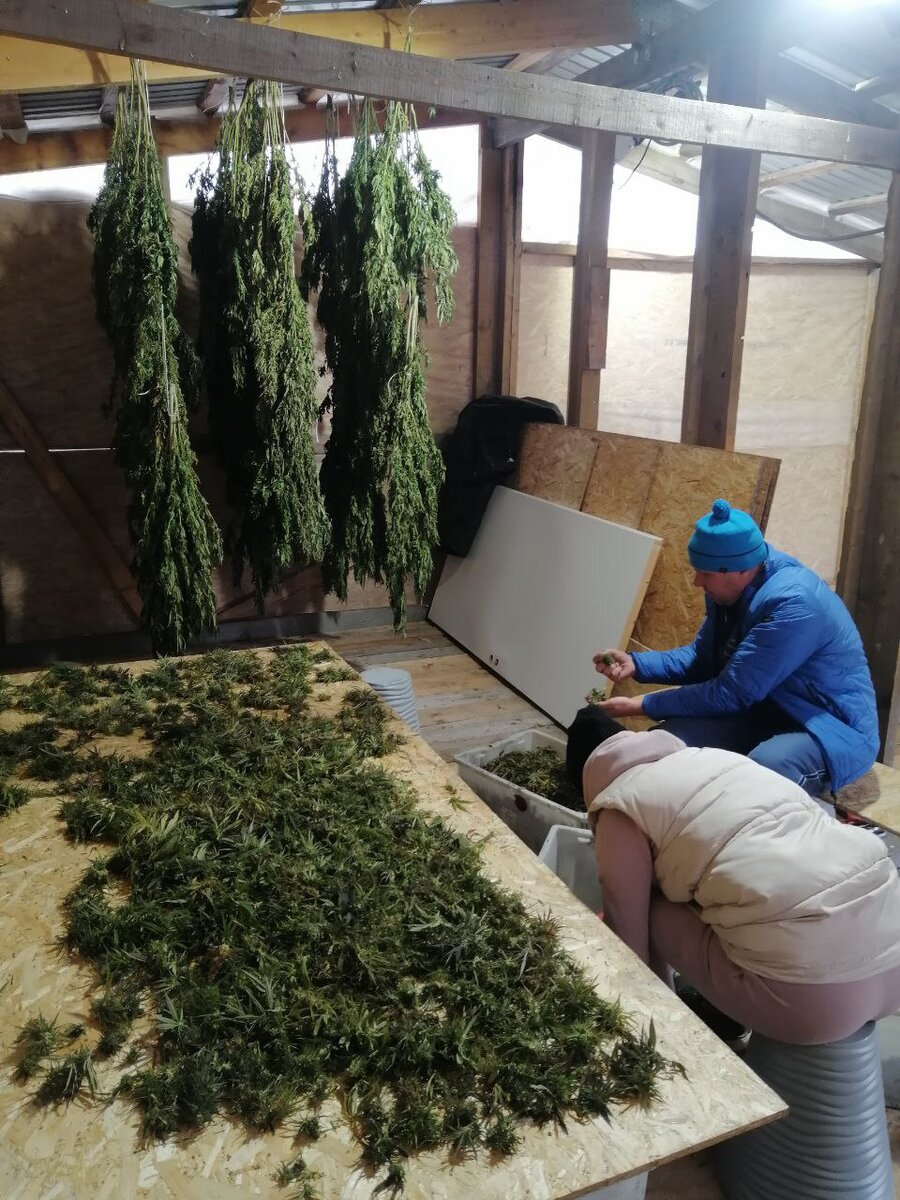 Фотографии от проекта Хемпико