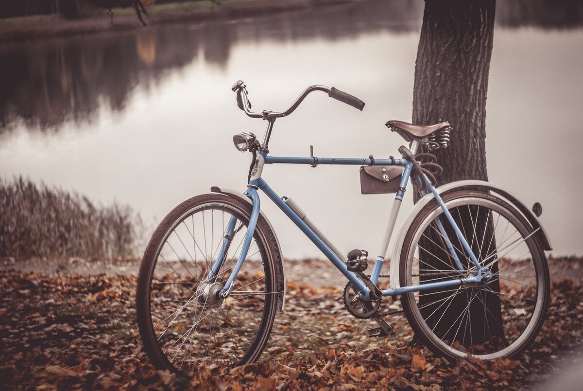 Фото с просторов интернета