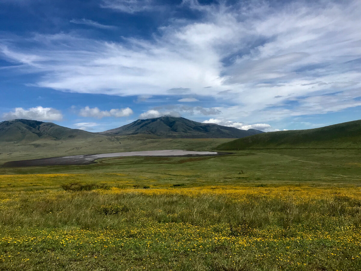 Это не Новая Зеландия, а заповедник в Танзании, но об этом в следующий раз. 