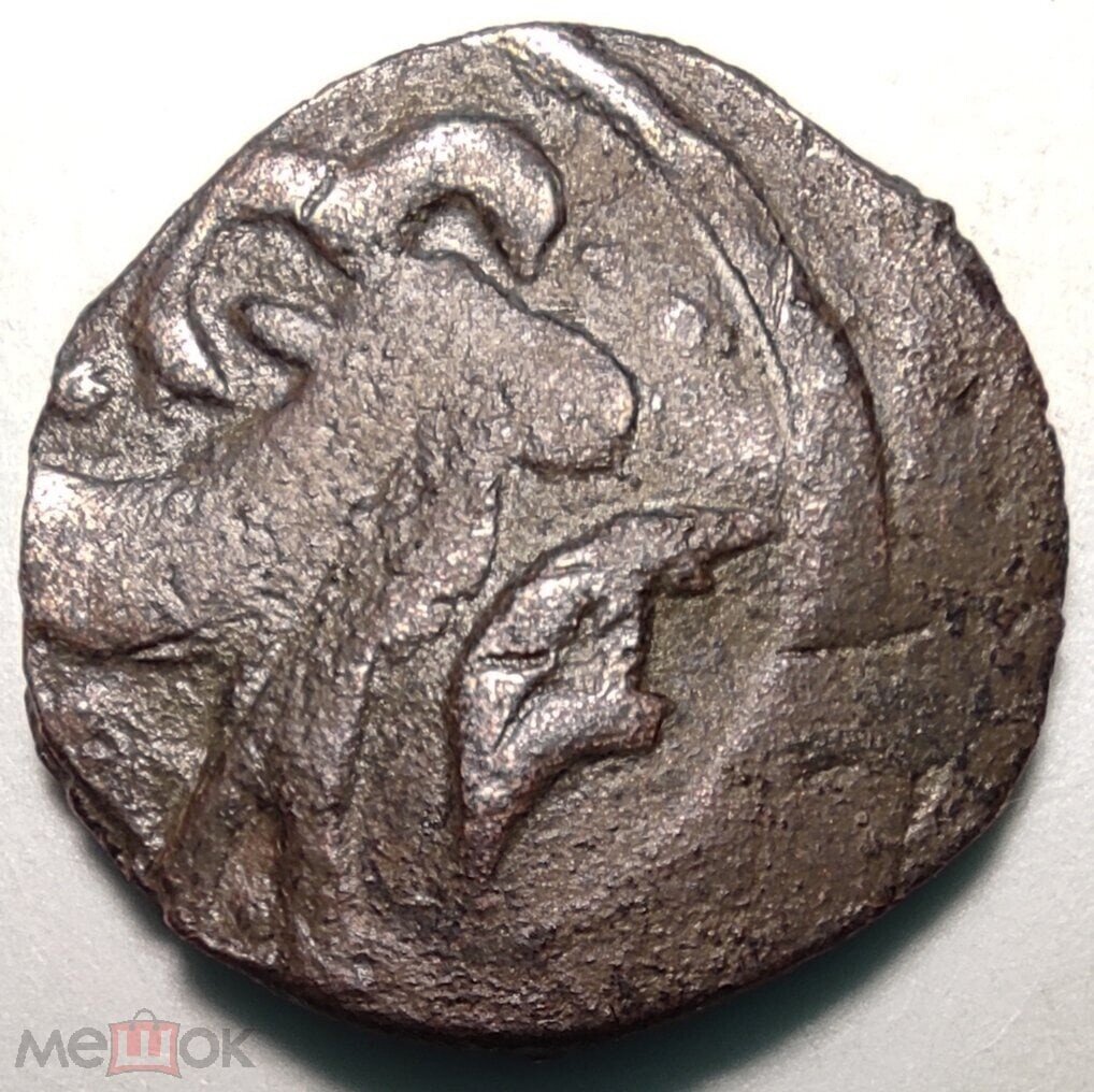 
Золотая Орда. Пул Баран Курдючный. Сарай 792 г.Х.
Фото: из открытых источников vk.com