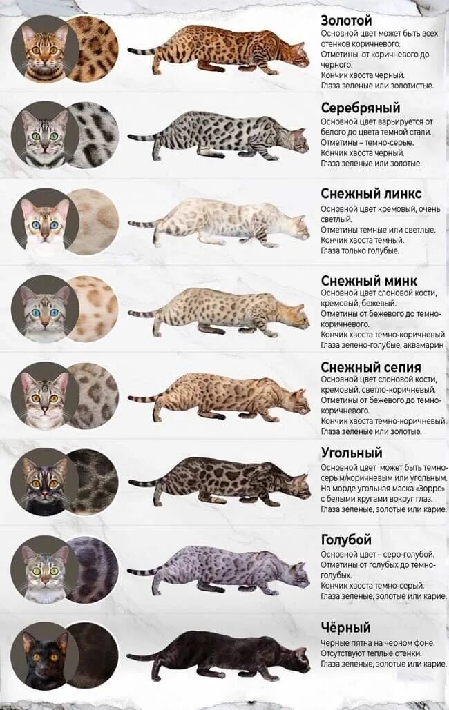 Фото из Интернета.