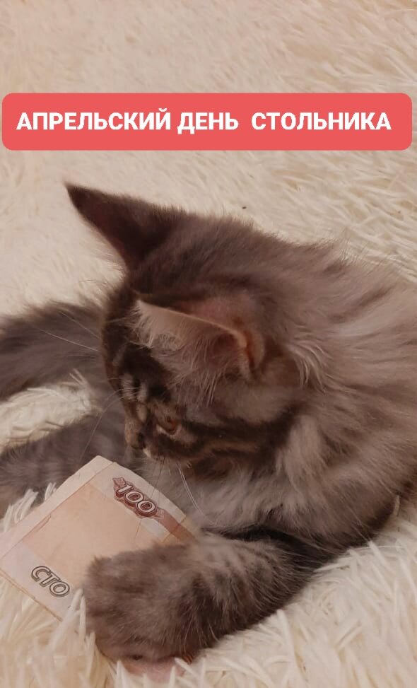 Помогает Мафу