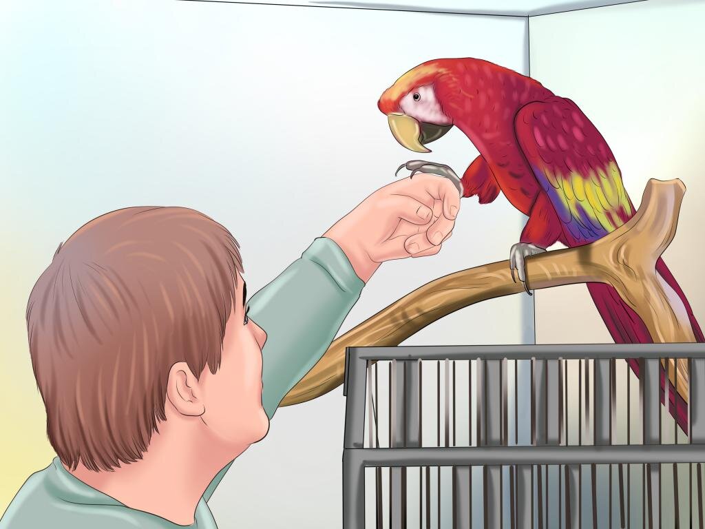 Источник fb.ru