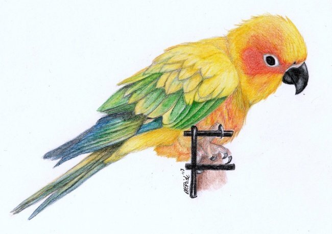 Источник gas-kvas.com