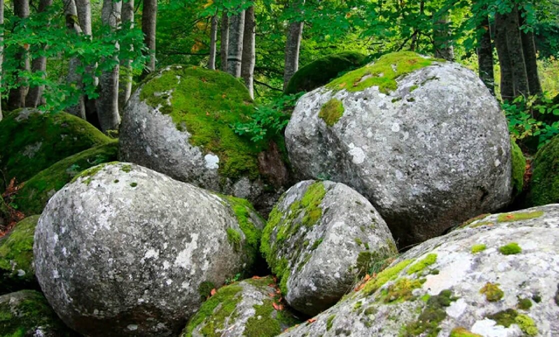 Аналогичное фото свободно взято в сети Интернет