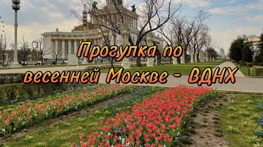 Прогулка по ВДНХ. Весенняя Москва. Расцвет тюльпанов