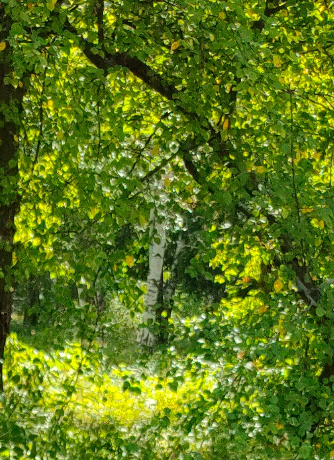 Солнечно-изумрудная зелень из детства