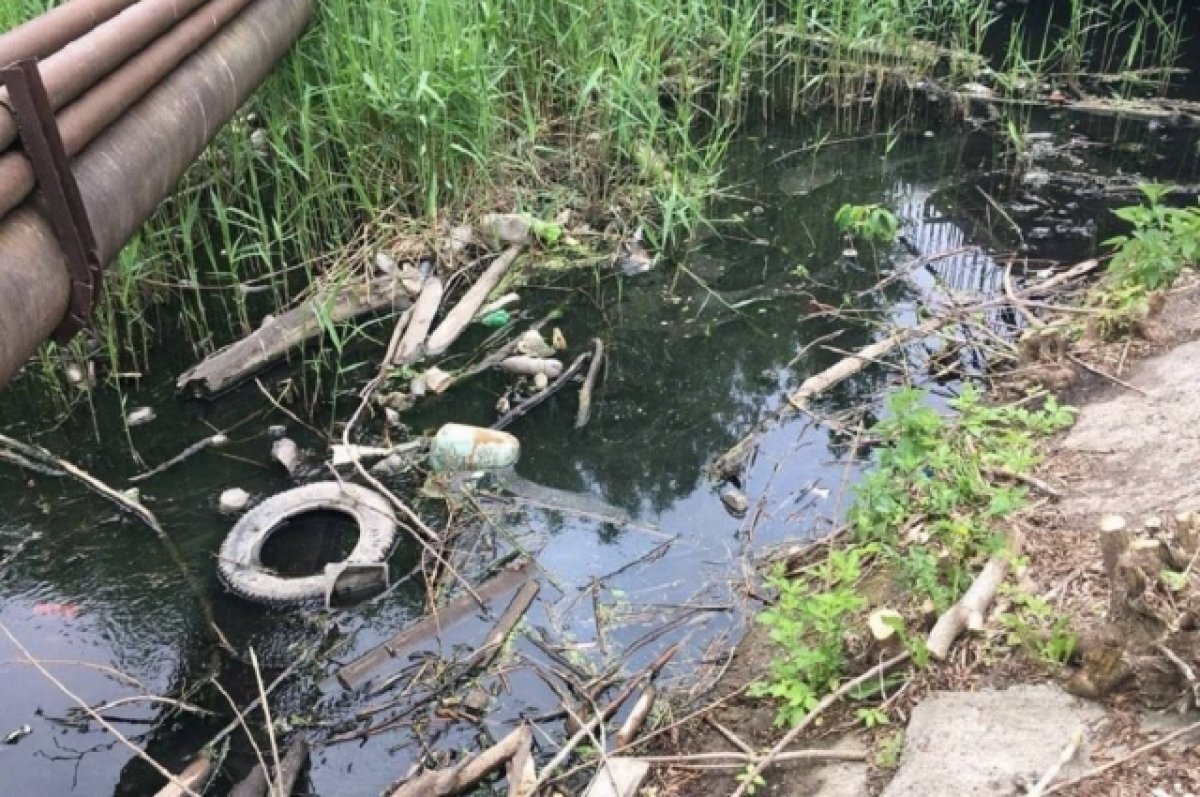    Расчистка реки Борзовки началась в Нижнем Новгороде