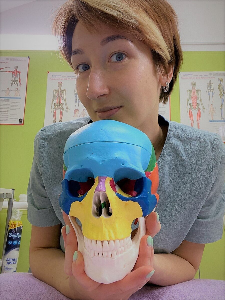 вот он, невероятно важный костный скелет черепа!