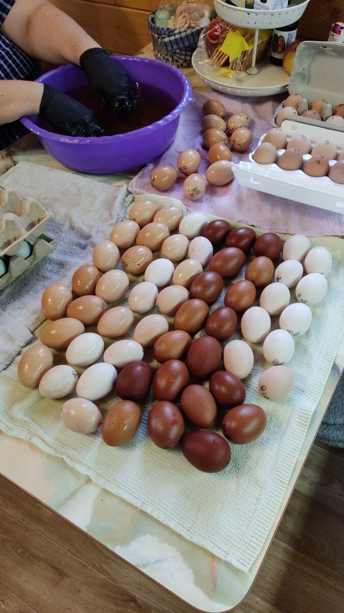 На сколько бы у вас не было чистое яйцо, но все же бактерии и зараза может остаться на скорлупе яйца. Помывка яйца в растворе марганцовки, помогает избежать падение молодняка.