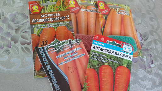 Морковь сладкая помадка