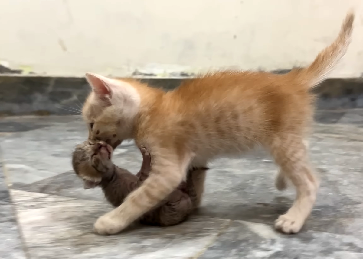 Листай дальше ------>