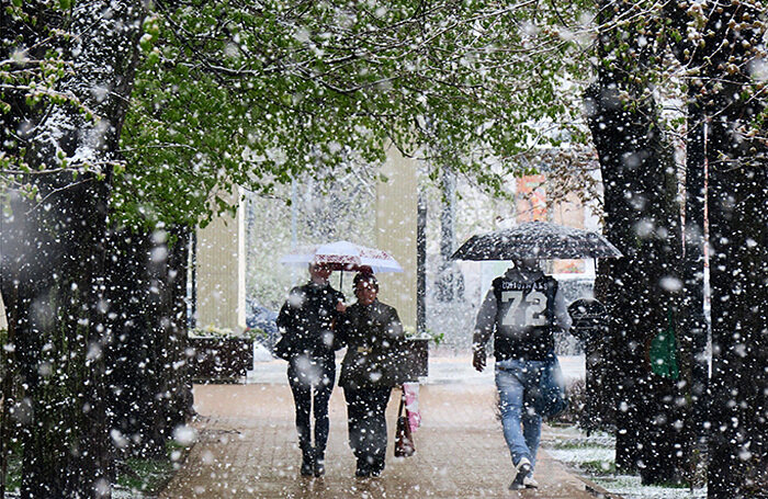    Марина Лысцева/ТАСС