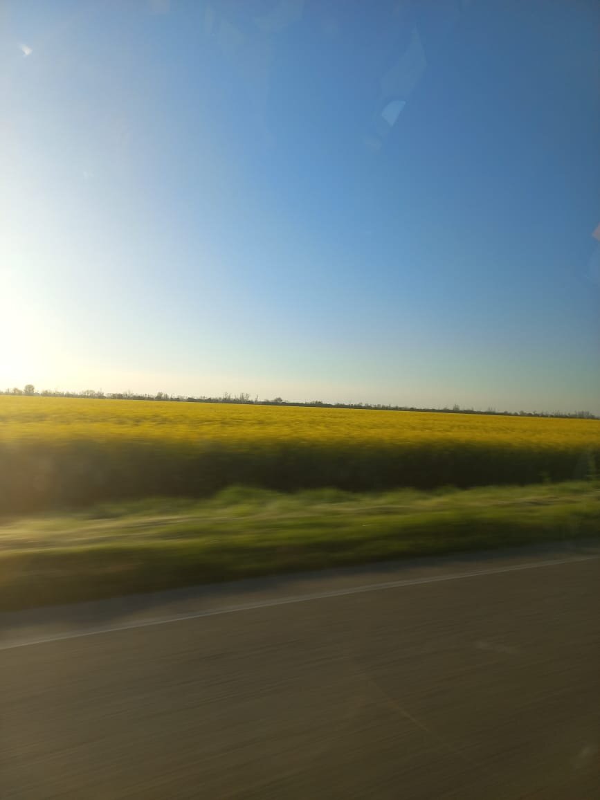 Фото автора.