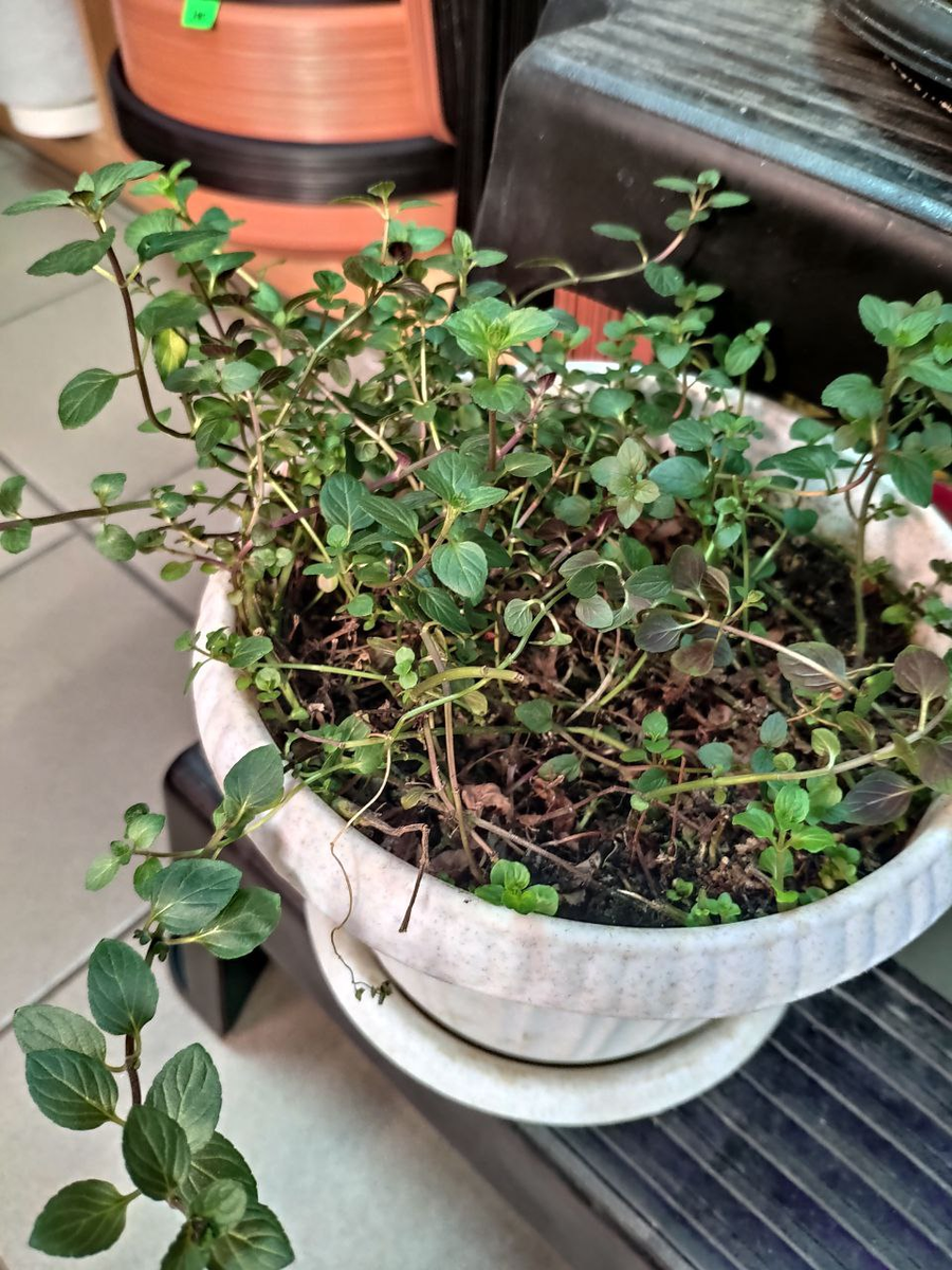 Добавьте описание