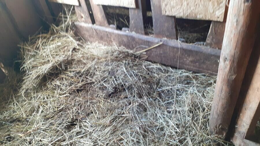 Было, стало