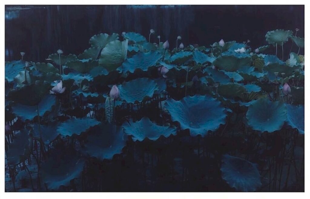     Фото: Amira Fritz