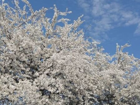 Фото 16 апреля