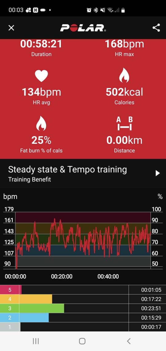 А это - часовая тренировка на полотнах