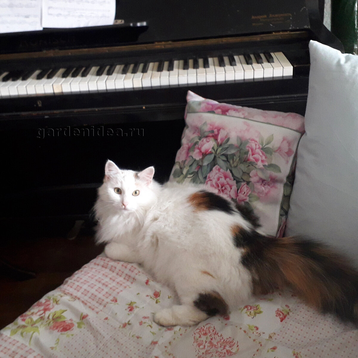 Рост цен на квартиры в 2022? Не знаю, не слышала...