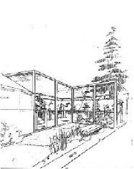 Источник: http://www.scottishbonsai.org/files/natcollection2.pdf