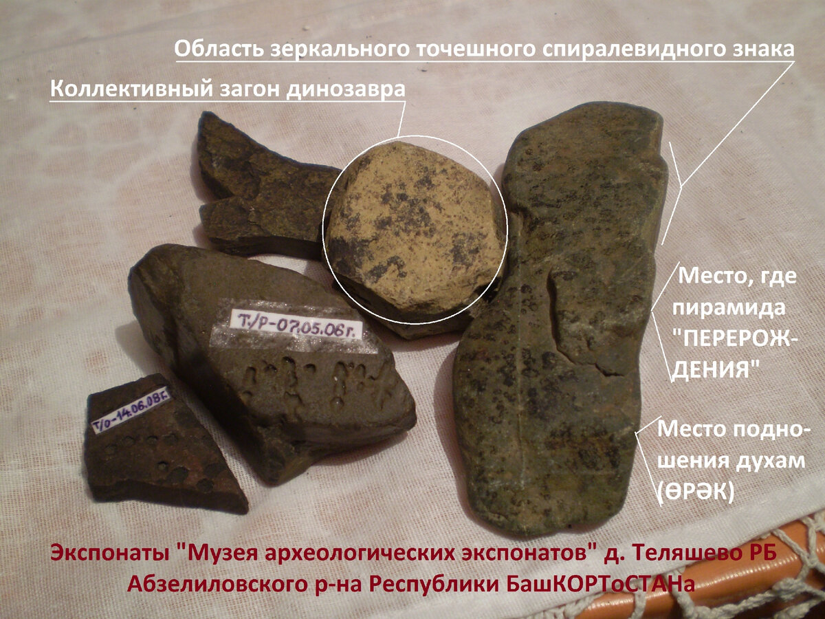 ФОТО. автора.