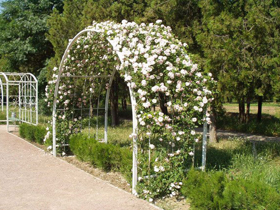 Арка для роз из арматуры: как сделать садовую арку из арматуры своими руками