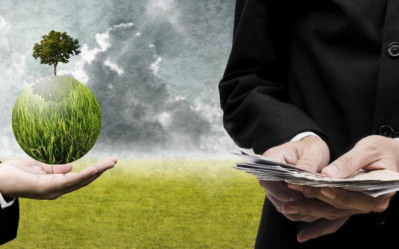    Фото: из открытых источников