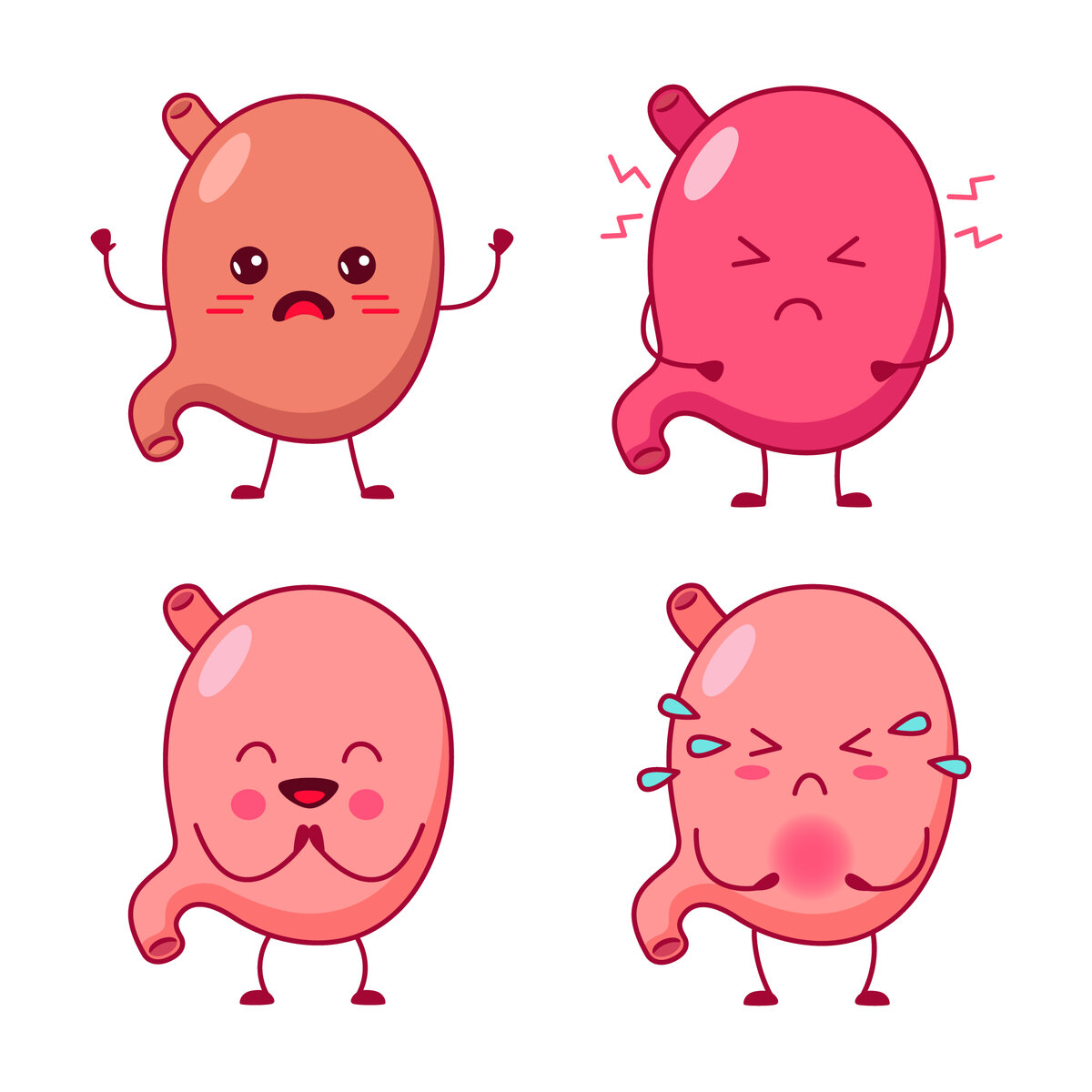 <a href="https://ru.freepik.com/free-vector/set-of-cute-handdrawn-human-stomachs-with-confused-angry-happy-sad-expressions_29082185.htm#query=%D0%96%D0%B5%D0%BB%D1%83%D0%B4%D0%BE%D0%BA&position=2&from_view=search&track=sph">Изображение от pch.vector</a> на Freepik