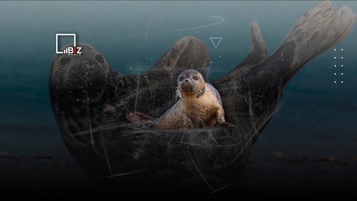    Фото: © Bizmedia.kz Август Макаров