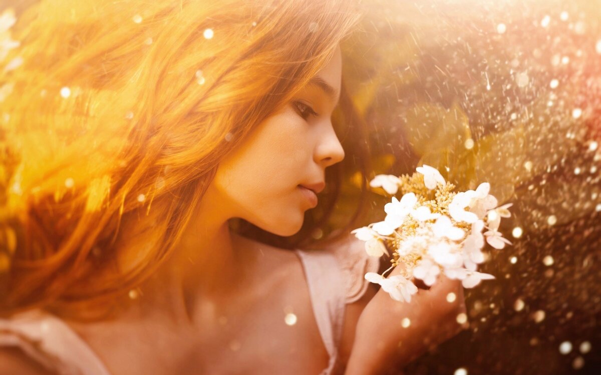 Изображение взято из открытых источников