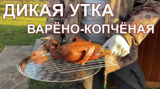 下载视频: РЕЦЕПТ ДИКОЙ УТКИ. Мясо получается не сухим и ароматным. Варено-копченые птицы делаем на даче.