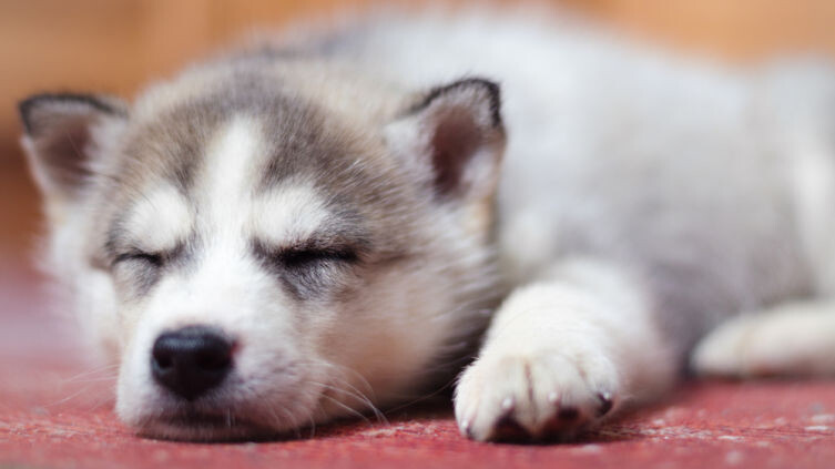 Фото: Depositphotos 