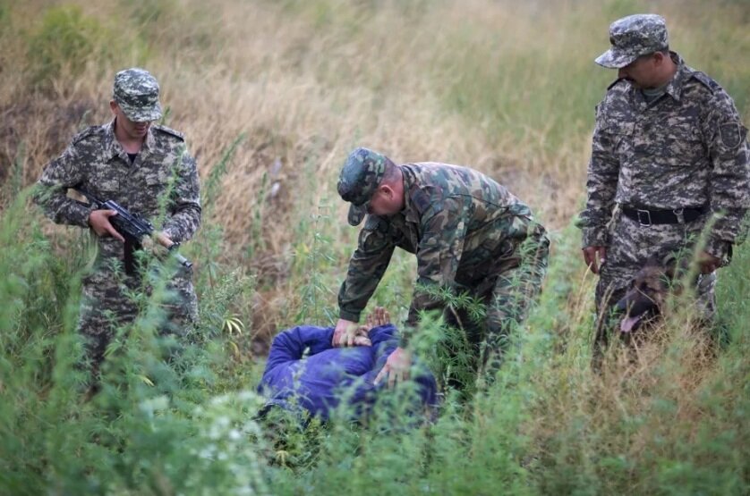Задержание сборщика конопли в Чуйской долине.