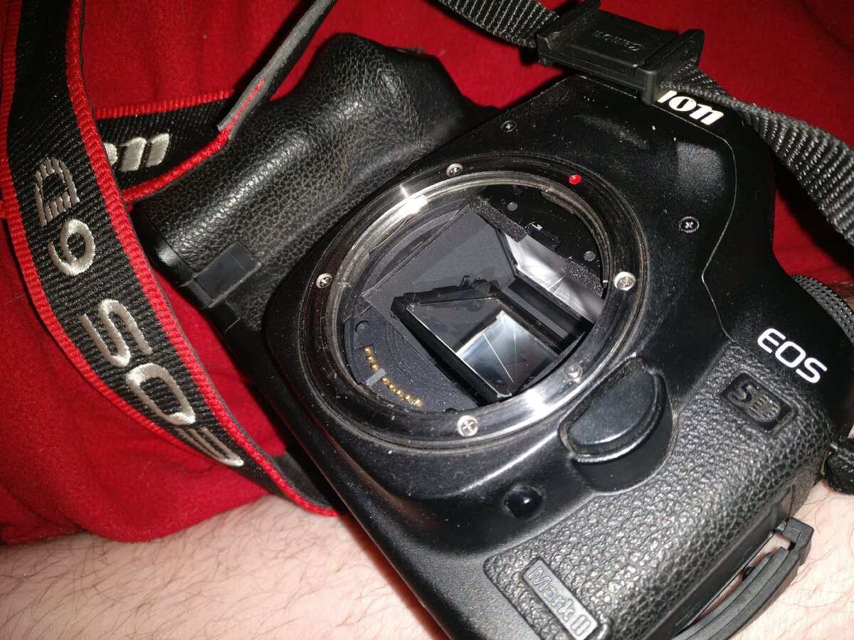 Мой Canon 5D mk2, купленный в 2014 году. 