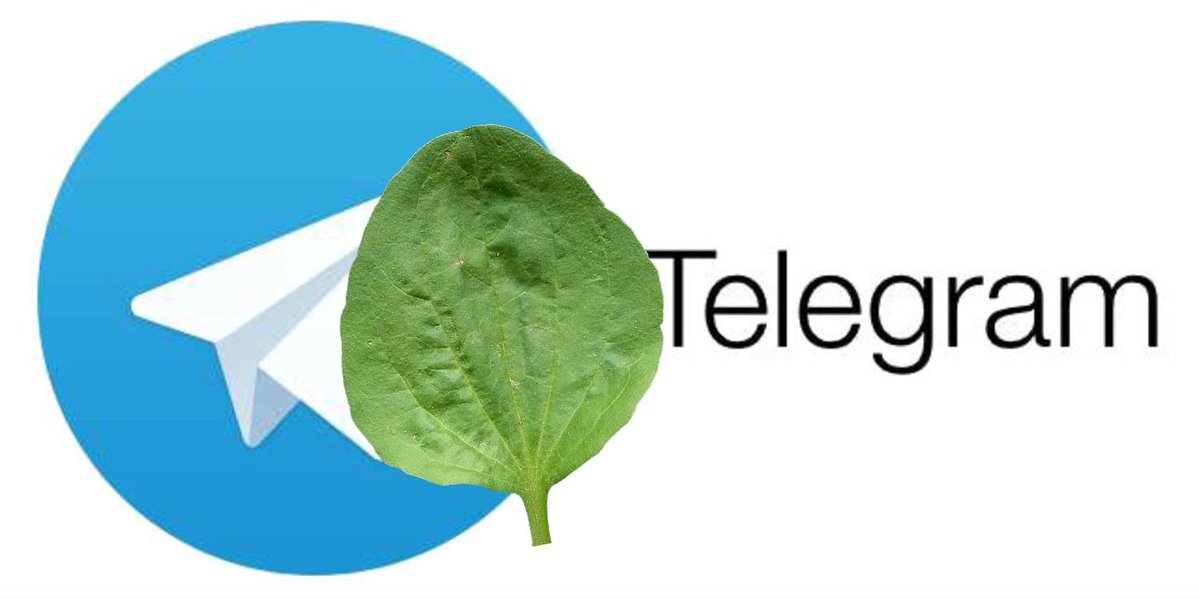 Картинка телеграмма мессенджер. Телеграмлого. Телеграмм бот. Телега логотип. Телеграмм живи.