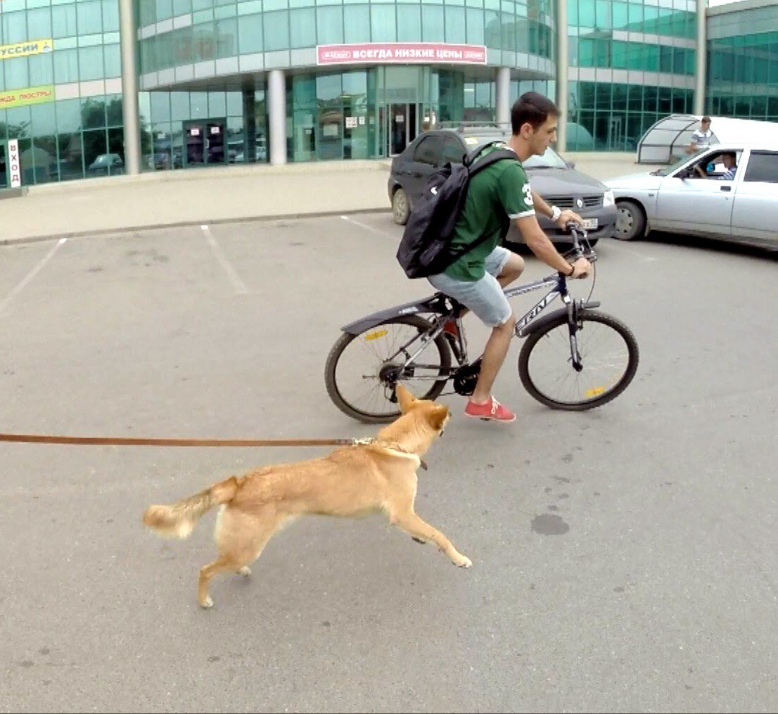 Солдаты. Все сезоны