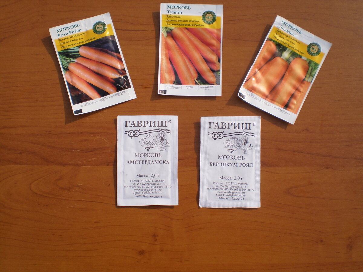 Сорта моркови