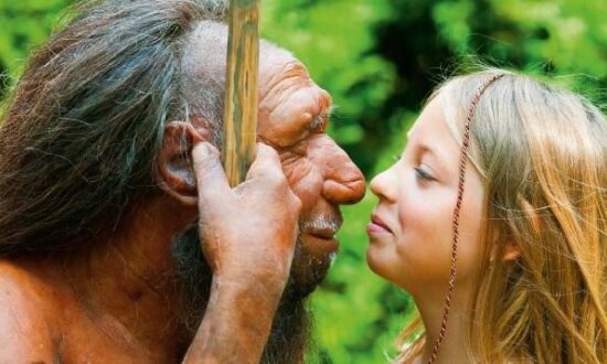 Источник изображения: www.wz.de