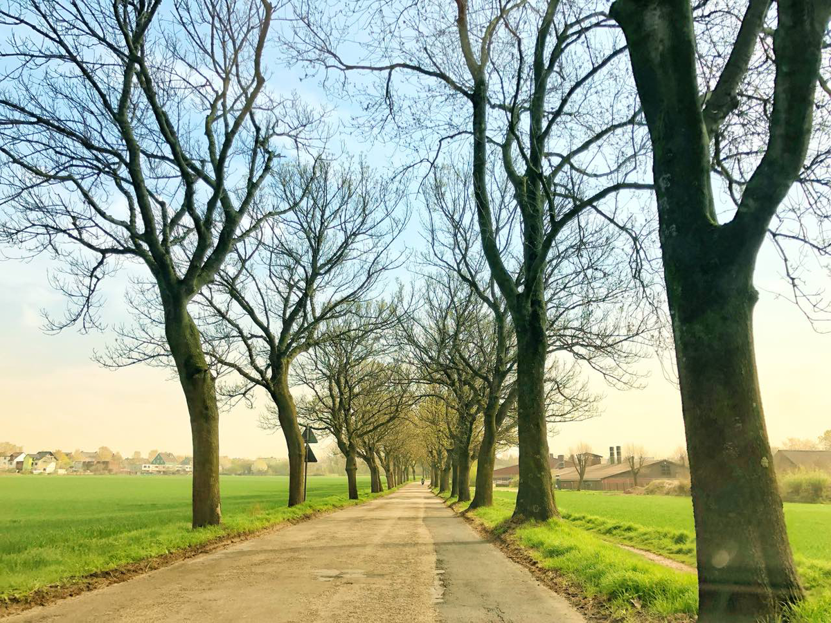 Herne - Bochum