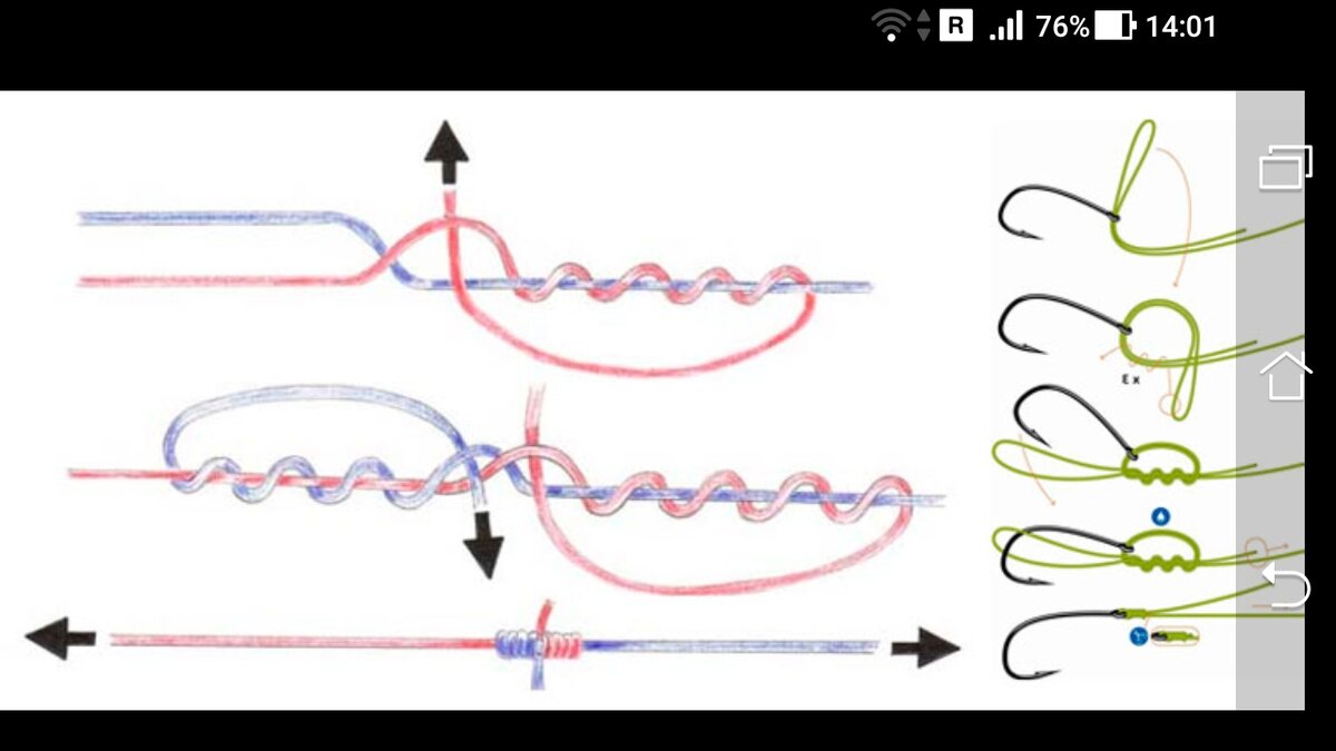фото вязание узла ставка и вязать паломар для рыболовного крючка