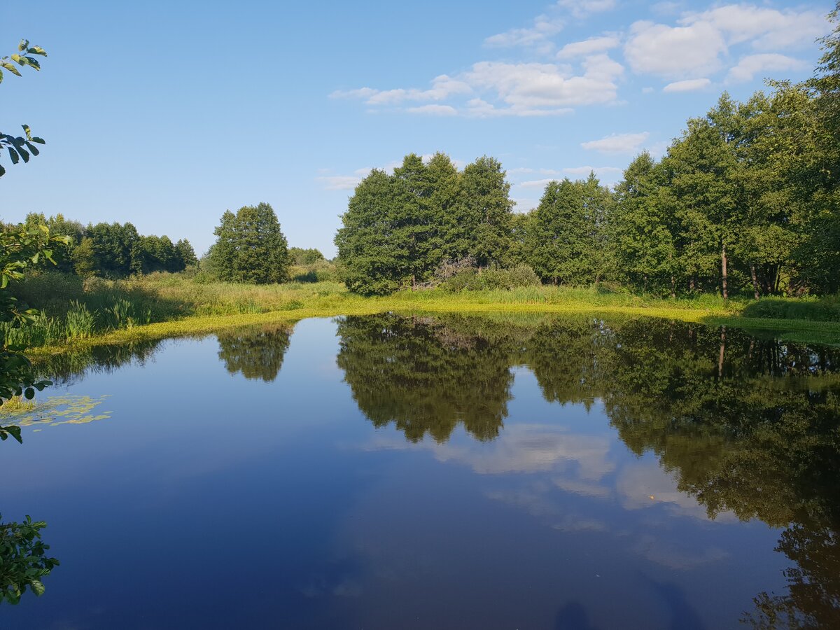 Водные богатства владимирской области