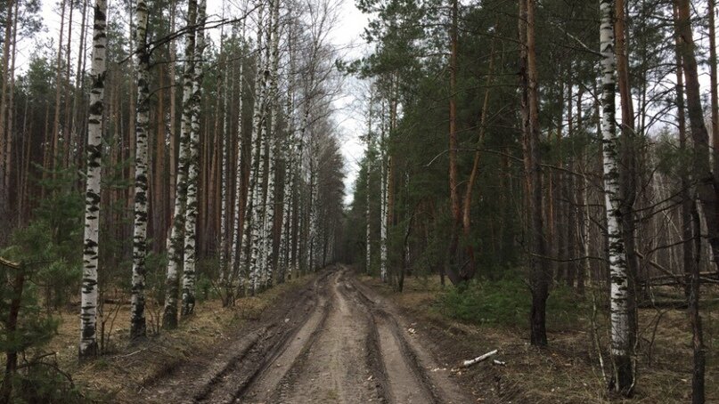 Создать карусель             Добавьте описание