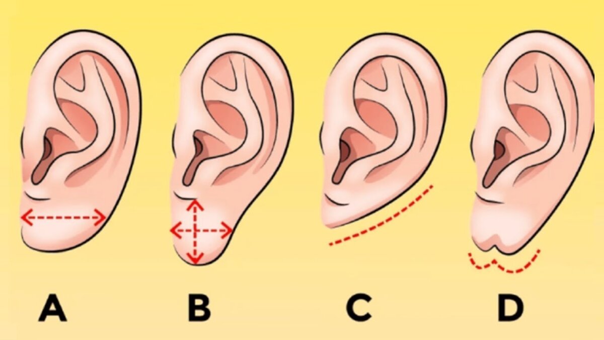 О чем говорит форма ушей у мужчин с картинками